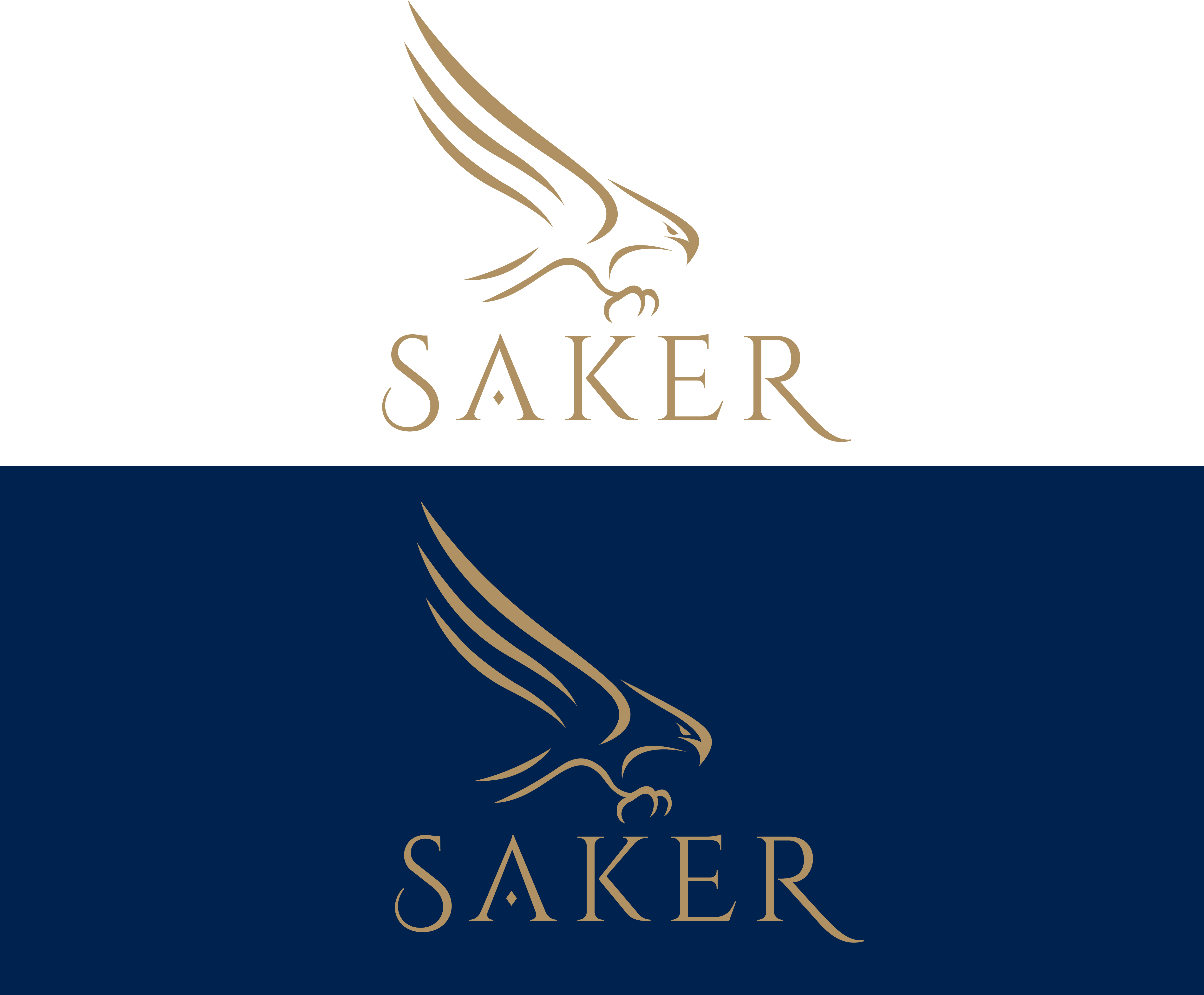 Logo Design by Innovative Graphix for this project | Design #37216219