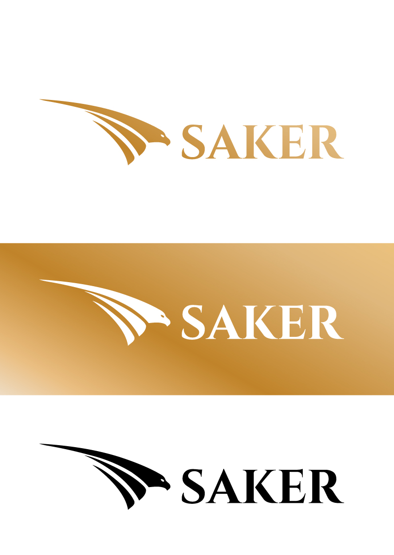 Logo Design by VisionCraft™ for this project | Design #37212719