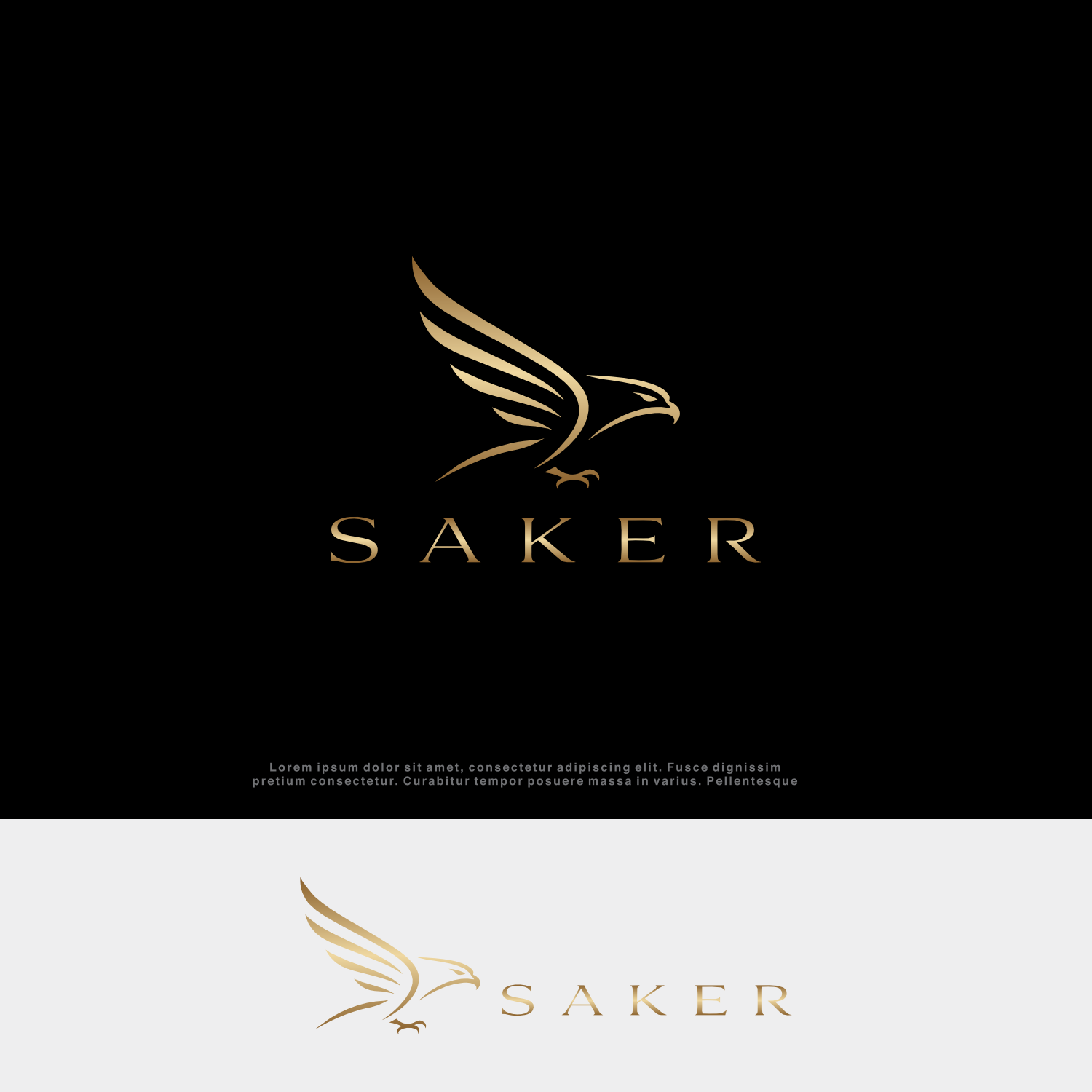Logo Design by SaDBo for this project | Design #37211881