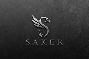 Logo Design by hajera for this project | Design: #37211550