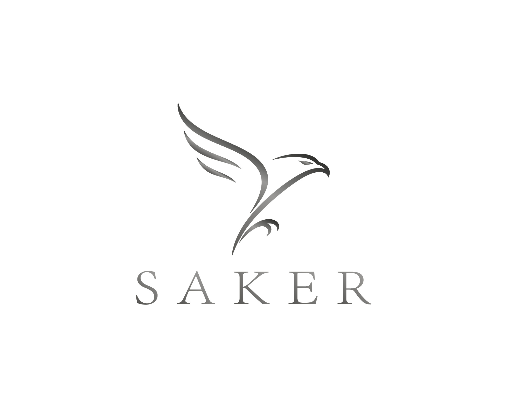 Logo Design by hajera for this project | Design #37211668
