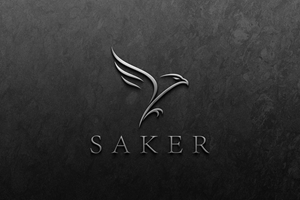 Logo Design by hajera for this project | Design: #37211681