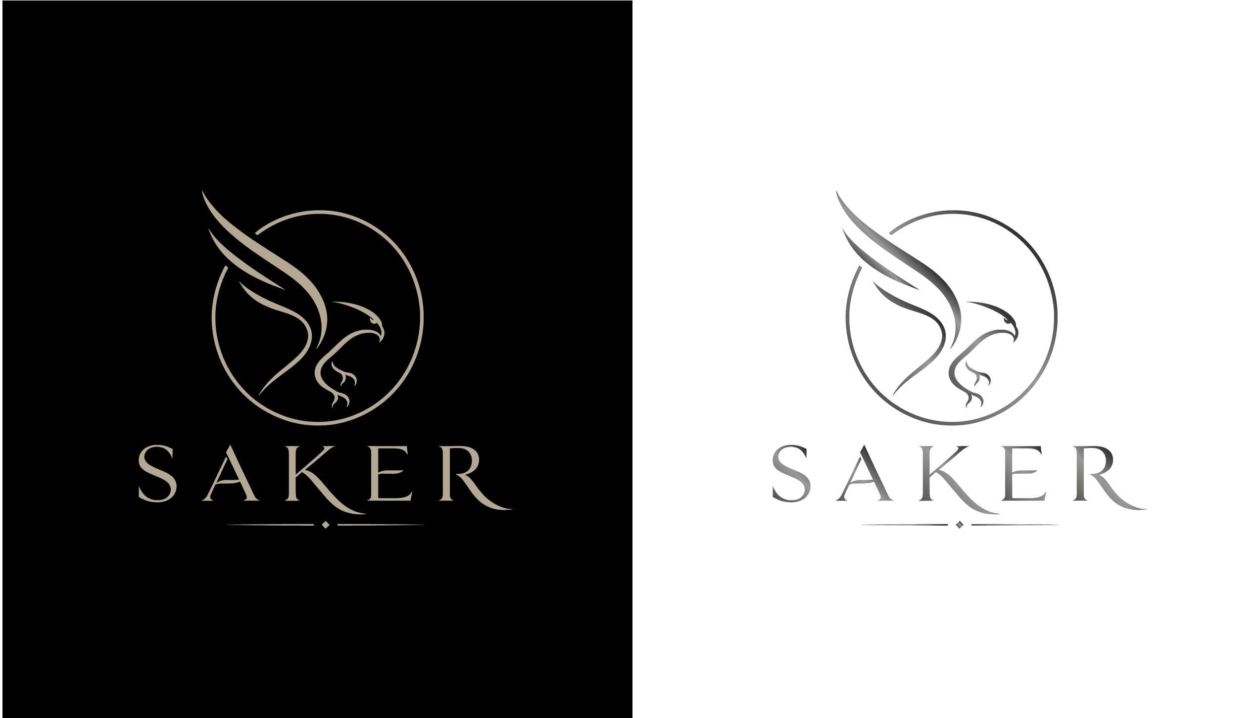 Logo Design by hajera for this project | Design #37211756
