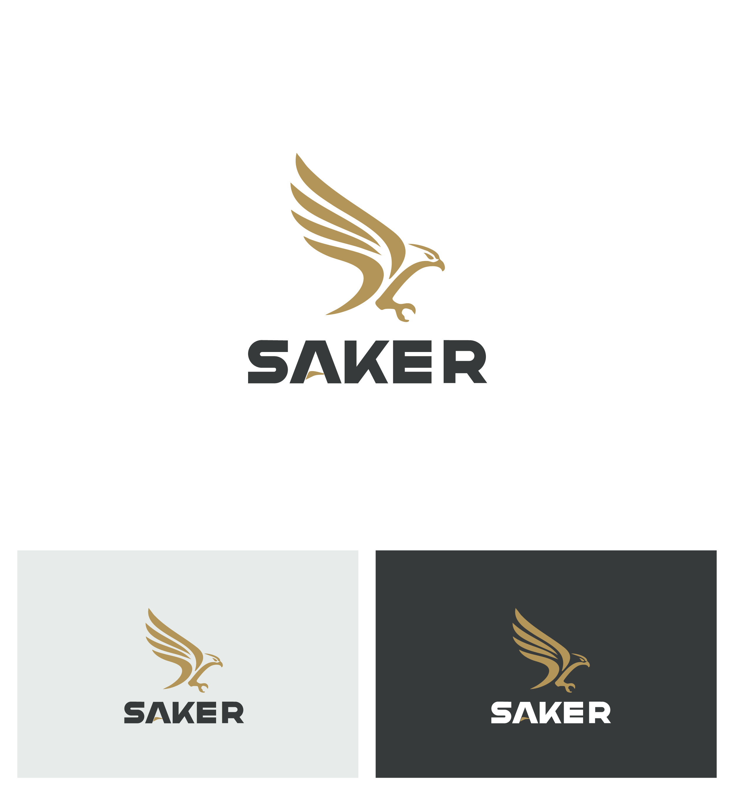 Design de Logo par Afsana_Hoque pour ce projet | Design #37225940