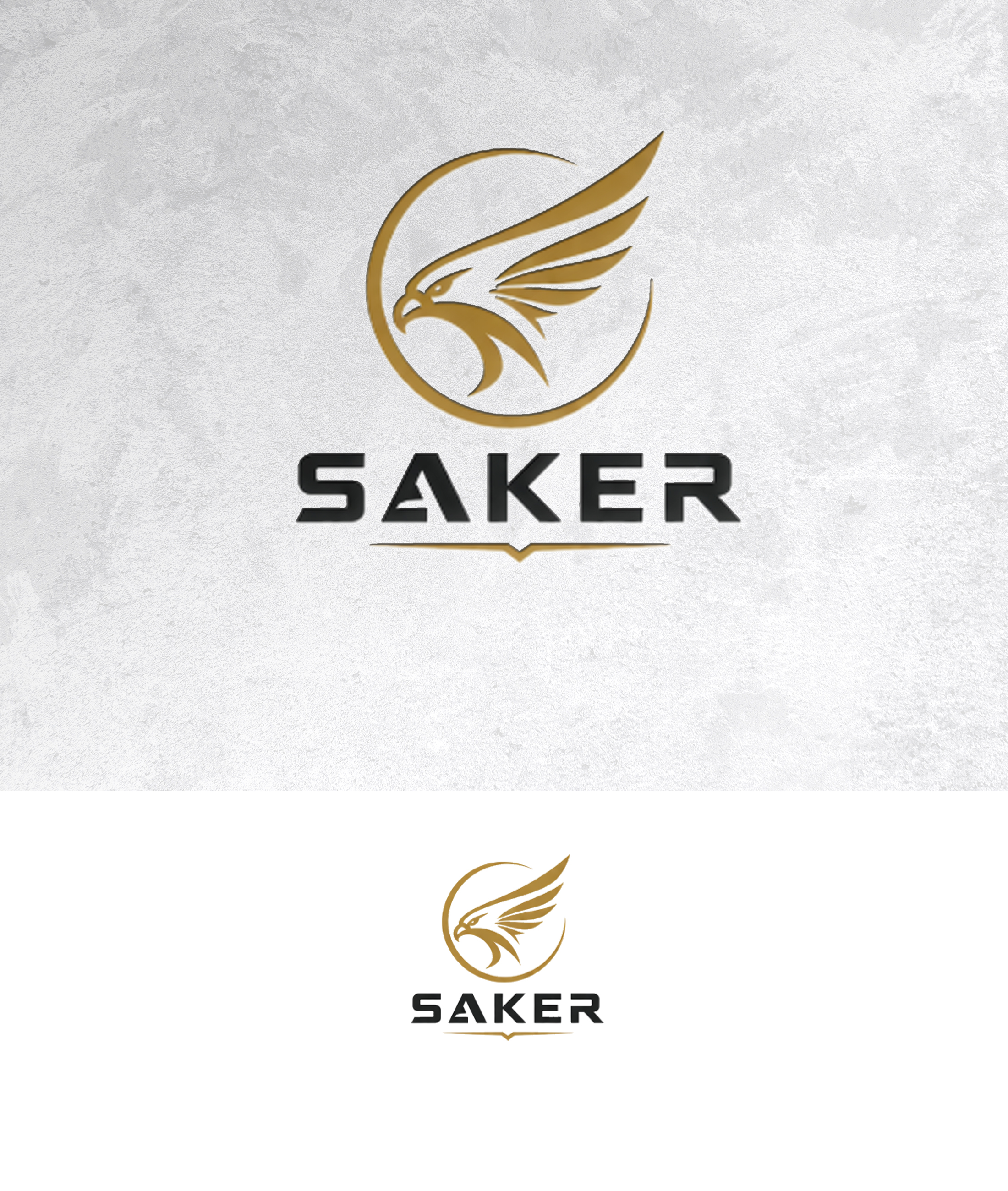 Logo Design by sonu.CR for this project | Design #37217160