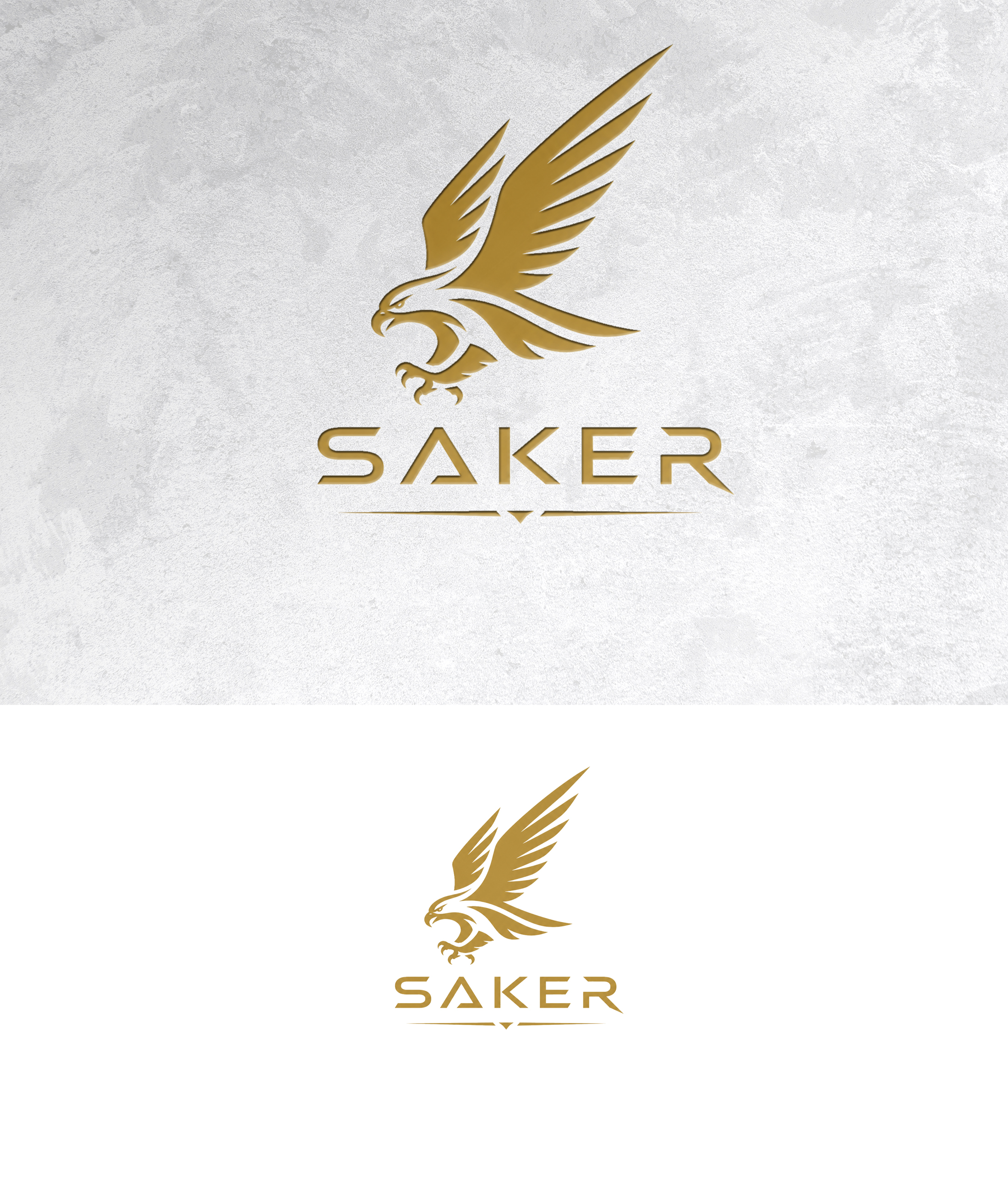 Logo Design by sonu.CR for this project | Design #37217161