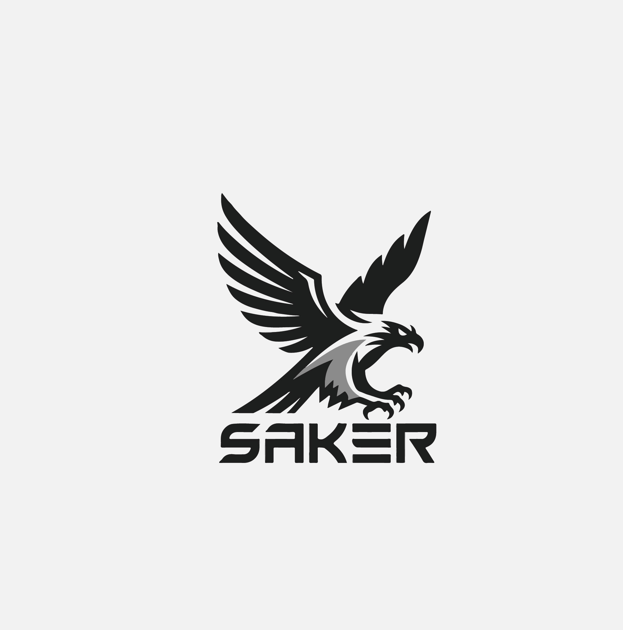 Logo Design by success logo for this project | Design #37217474