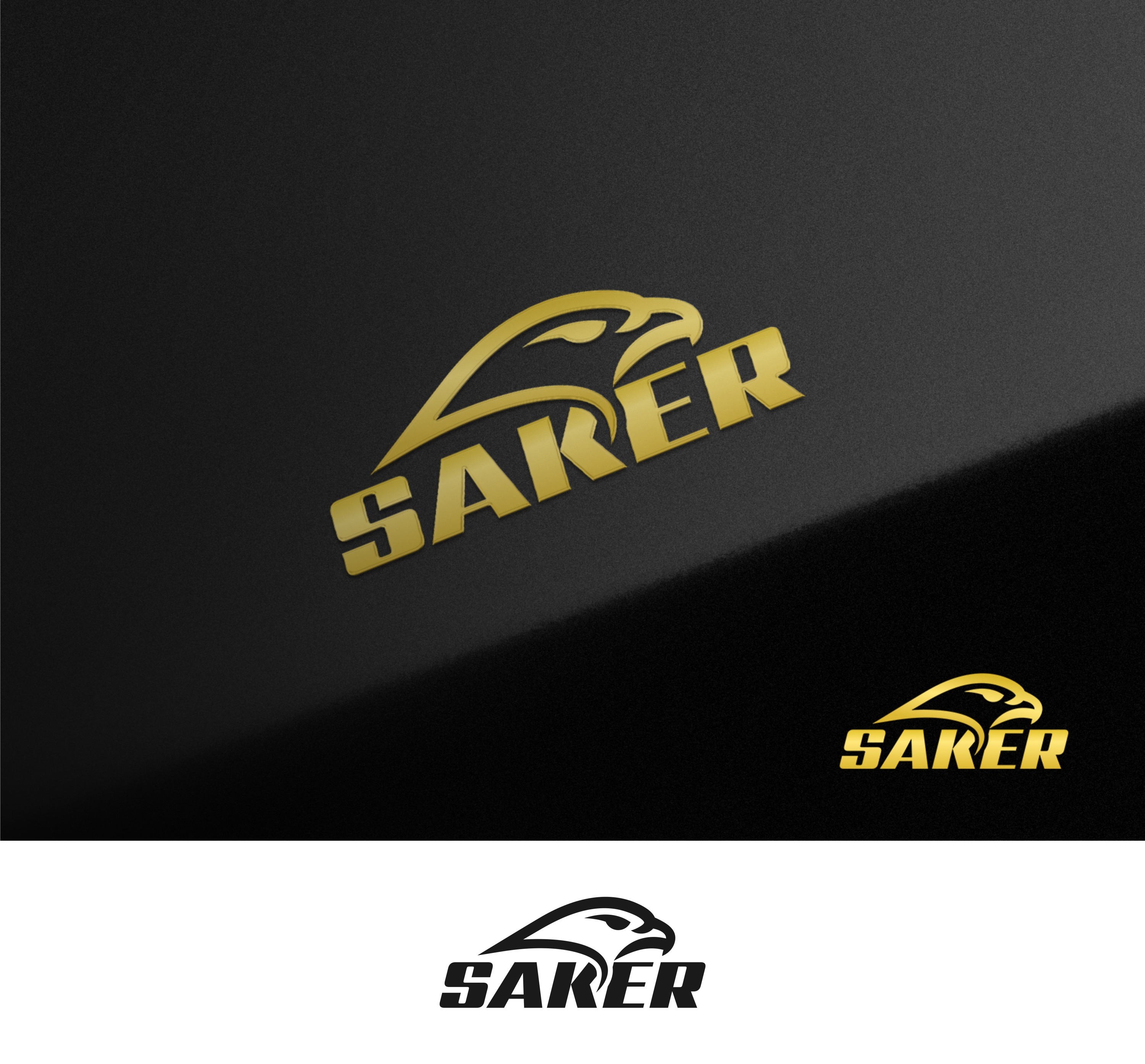 Logo Design by aquabomb26 for this project | Design #37211616