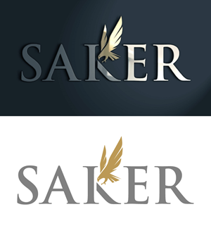 Logo Design by Chanel graphics for this project | Design: #37211926