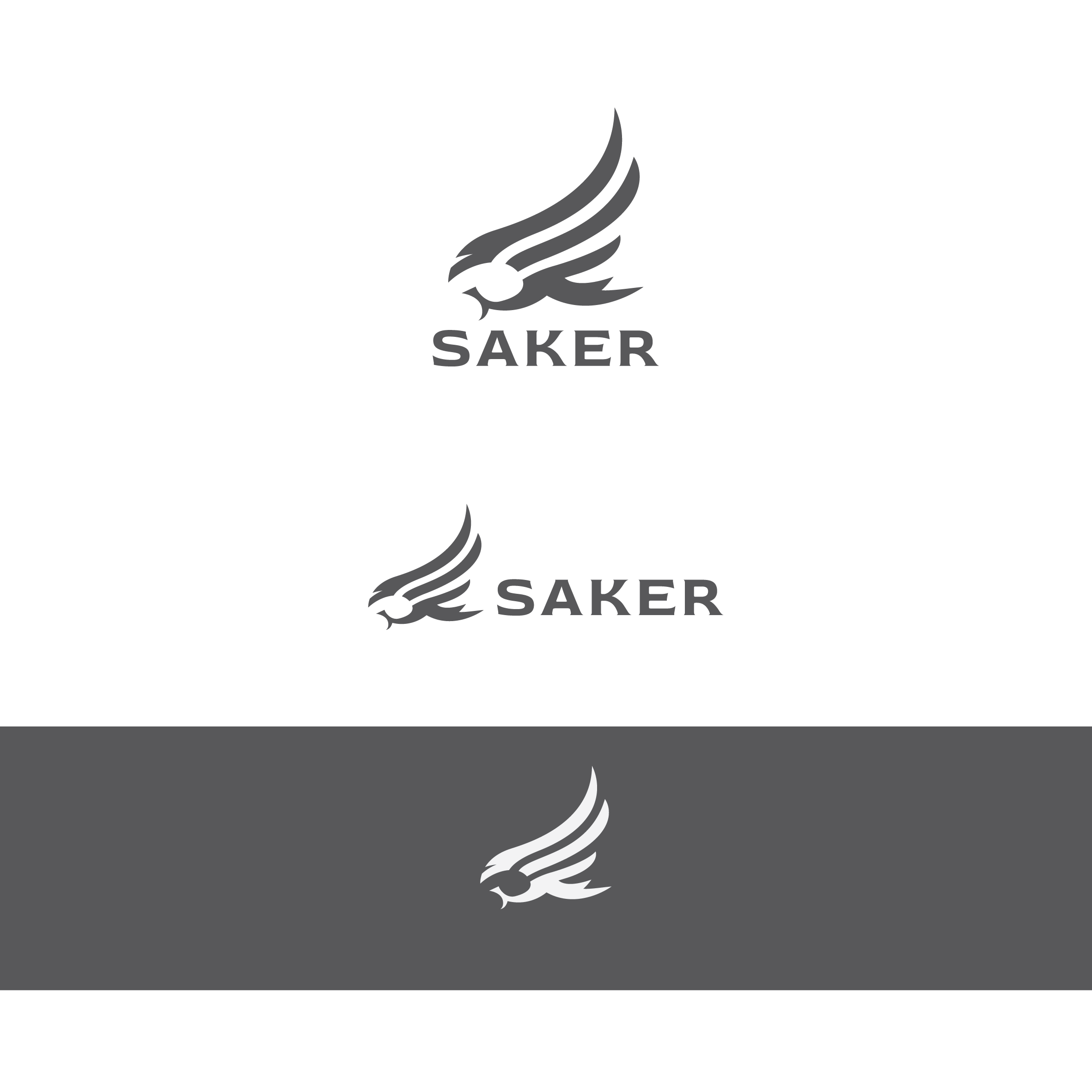 Logo Design by dskyvbc for this project | Design #37213166