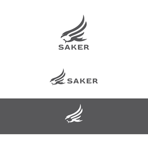 Logo Design by dskyvbc