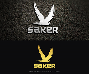 Logo Design by Ansh Design for this project | Design: #37215743