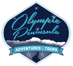 Logo Design by rjmclean79 for Olympic Peninsula Adventures | Design: #3198435