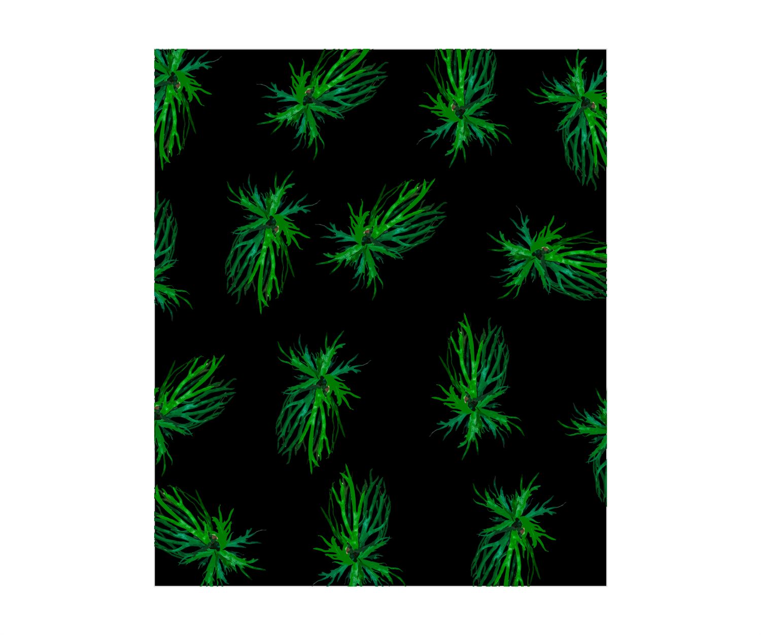 Diseño de Camiseta por ThiagoB para este proyecto | Diseño #37225538