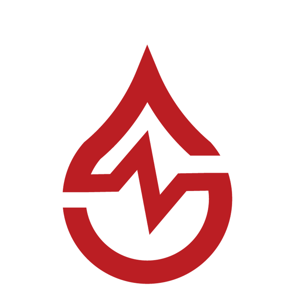 Diseño de Logo por Wisdom12 para este proyecto | Diseño #37231848