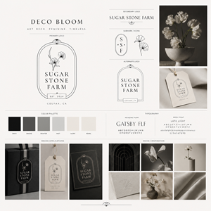 Packaging Design by Amani K