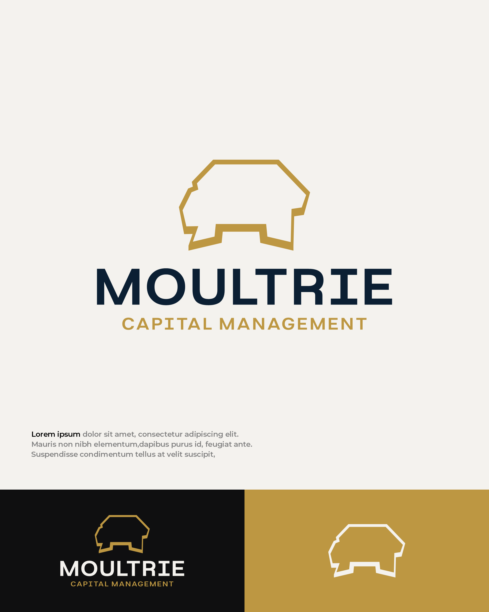 Diseño de Logo por Mantra™ para este proyecto | Diseño #37255598