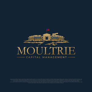 Logo Design by Timefortheweb for this project | Design: #37245329