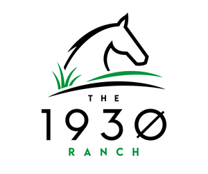 Logo Design by Fredericm for this project | Design: #37250706