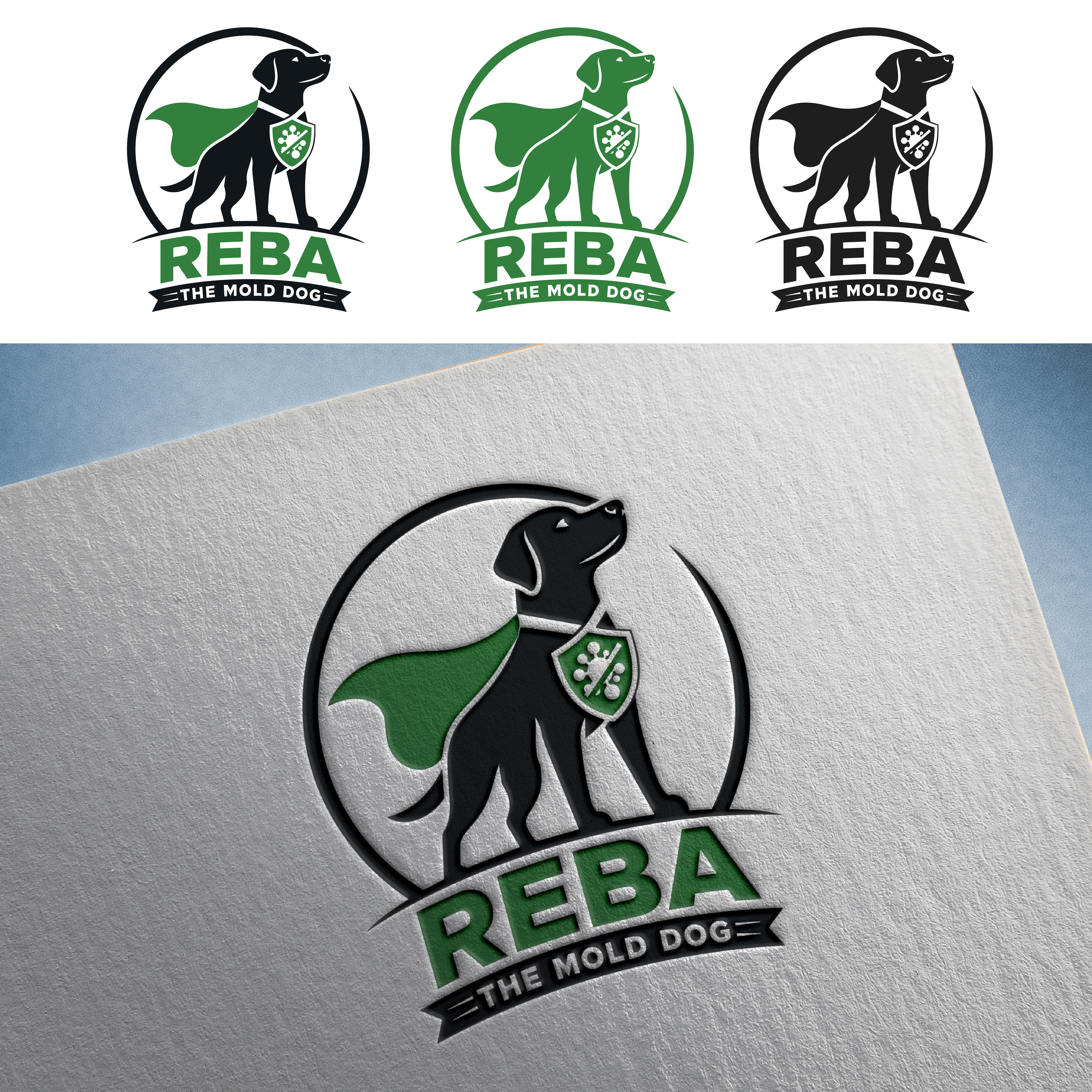 Logo-Design von Shariqology für dieses Projekt | Design #37264856
