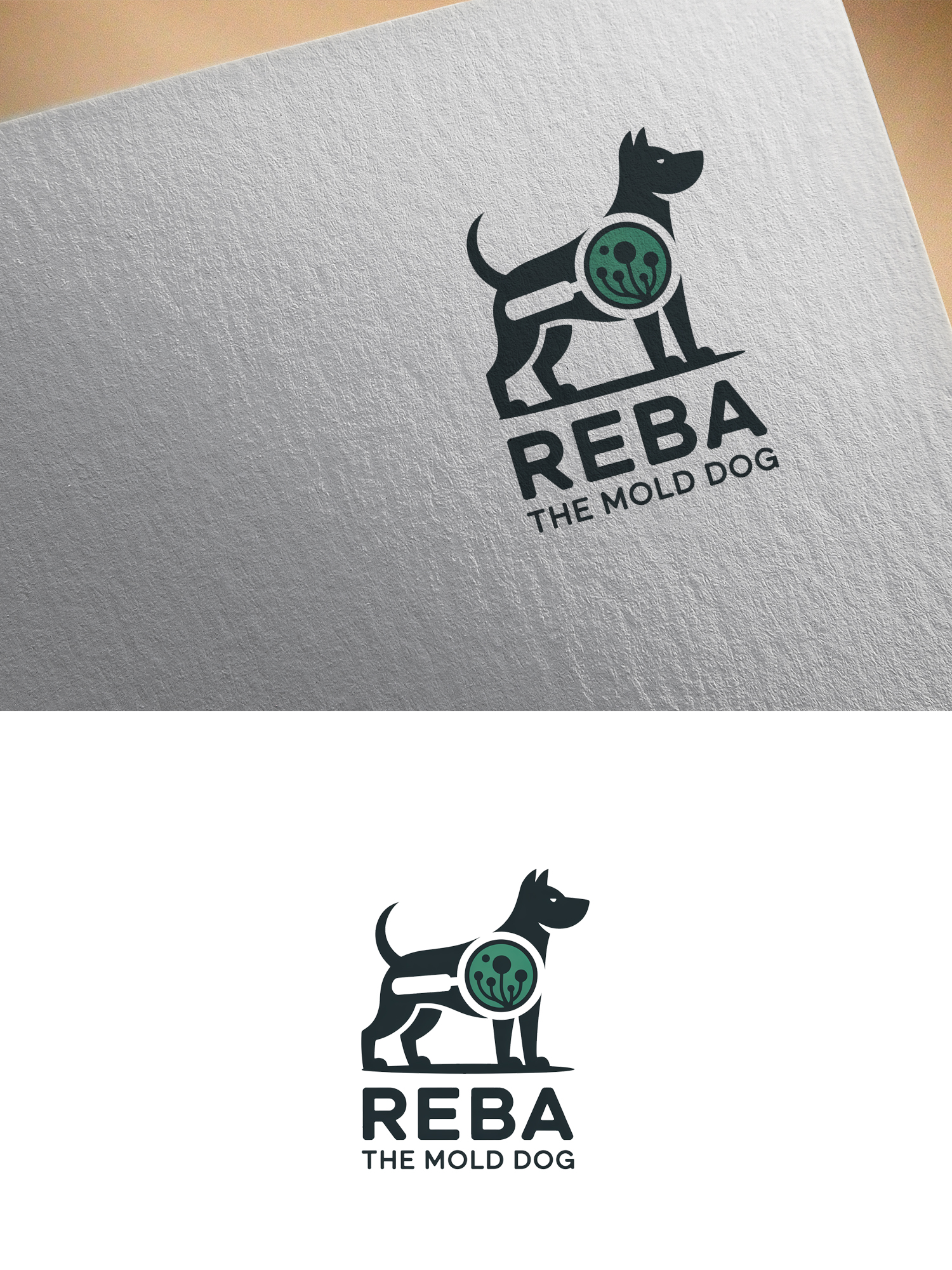 Logo-Design von LogoLoot für dieses Projekt | Design #37272661