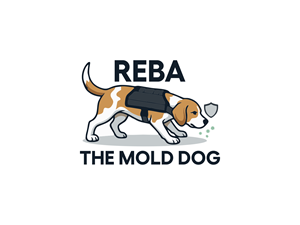 Logo-Design von BNdesigner für dieses Projekt | Design: #37265775