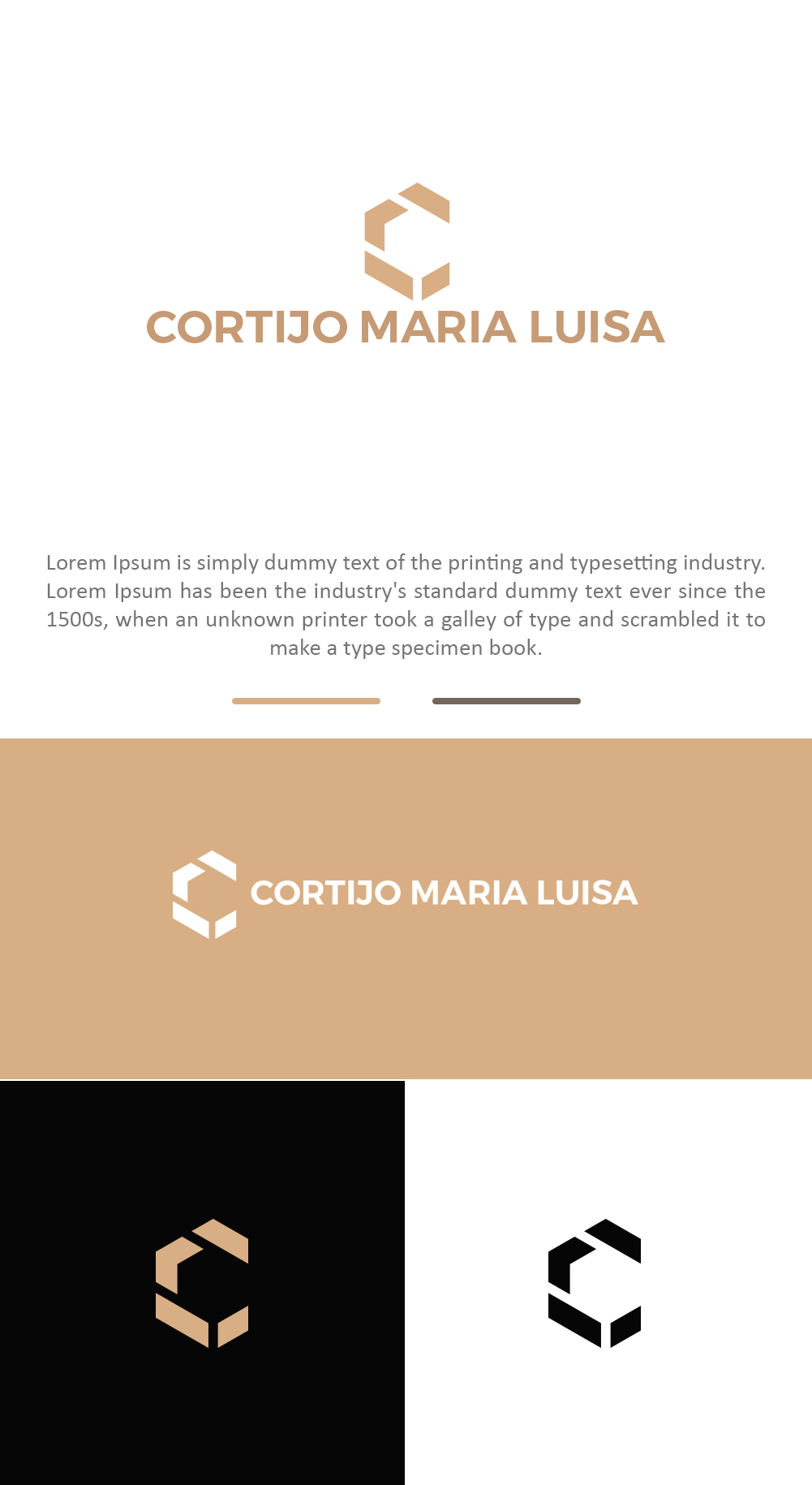 Logo Design by amazive for Nentech S.C. Karol Szambelanczyk Lukasz Weber | Design #37278114