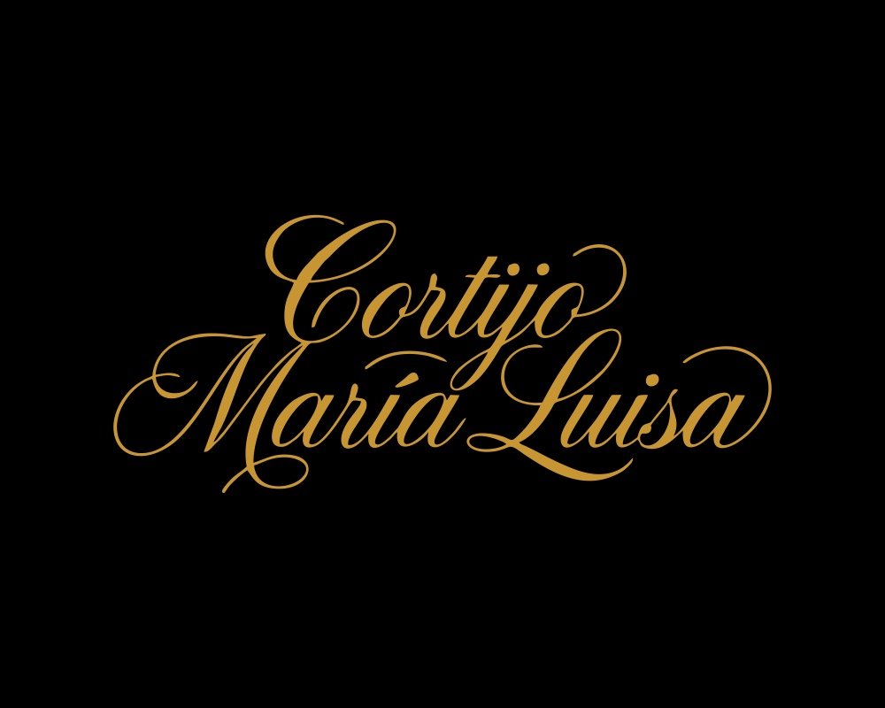 Logo Design by Pey for Nentech S.C. Karol Szambelanczyk Lukasz Weber | Design #37268333