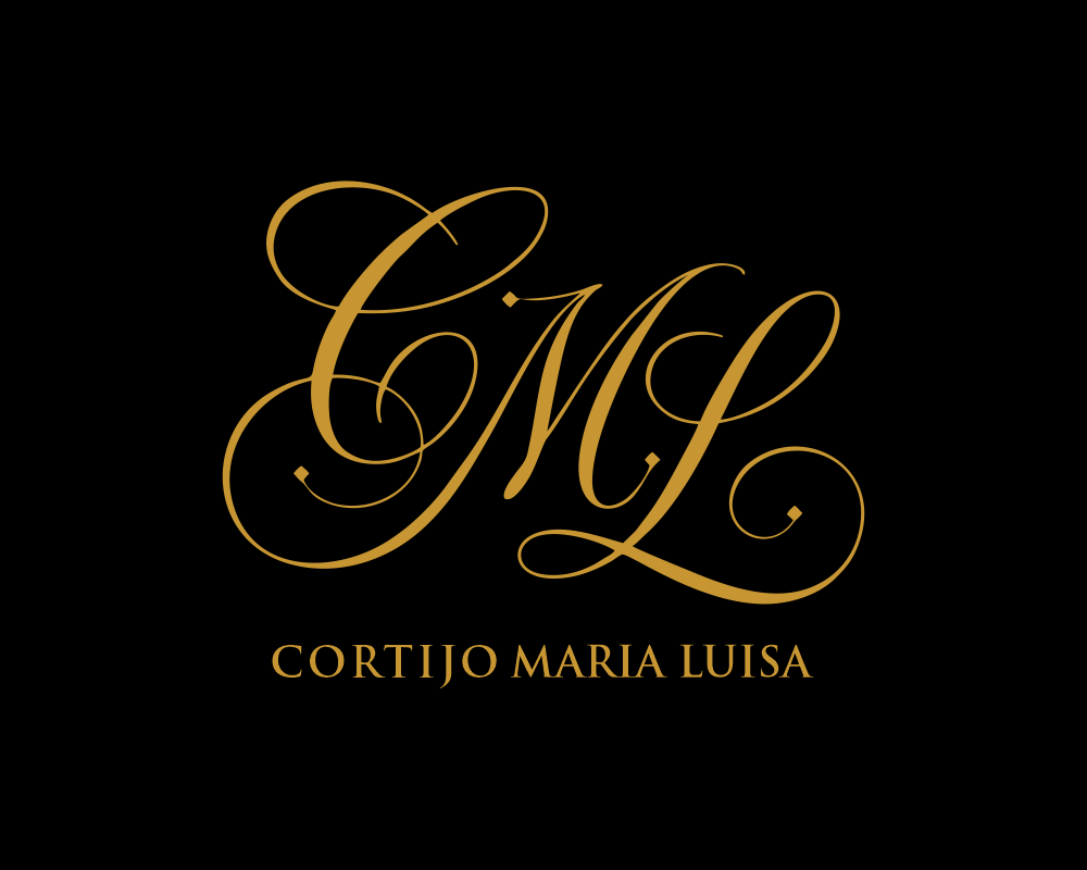 Logo Design by Pey for Nentech S.C. Karol Szambelanczyk Lukasz Weber | Design #37268334