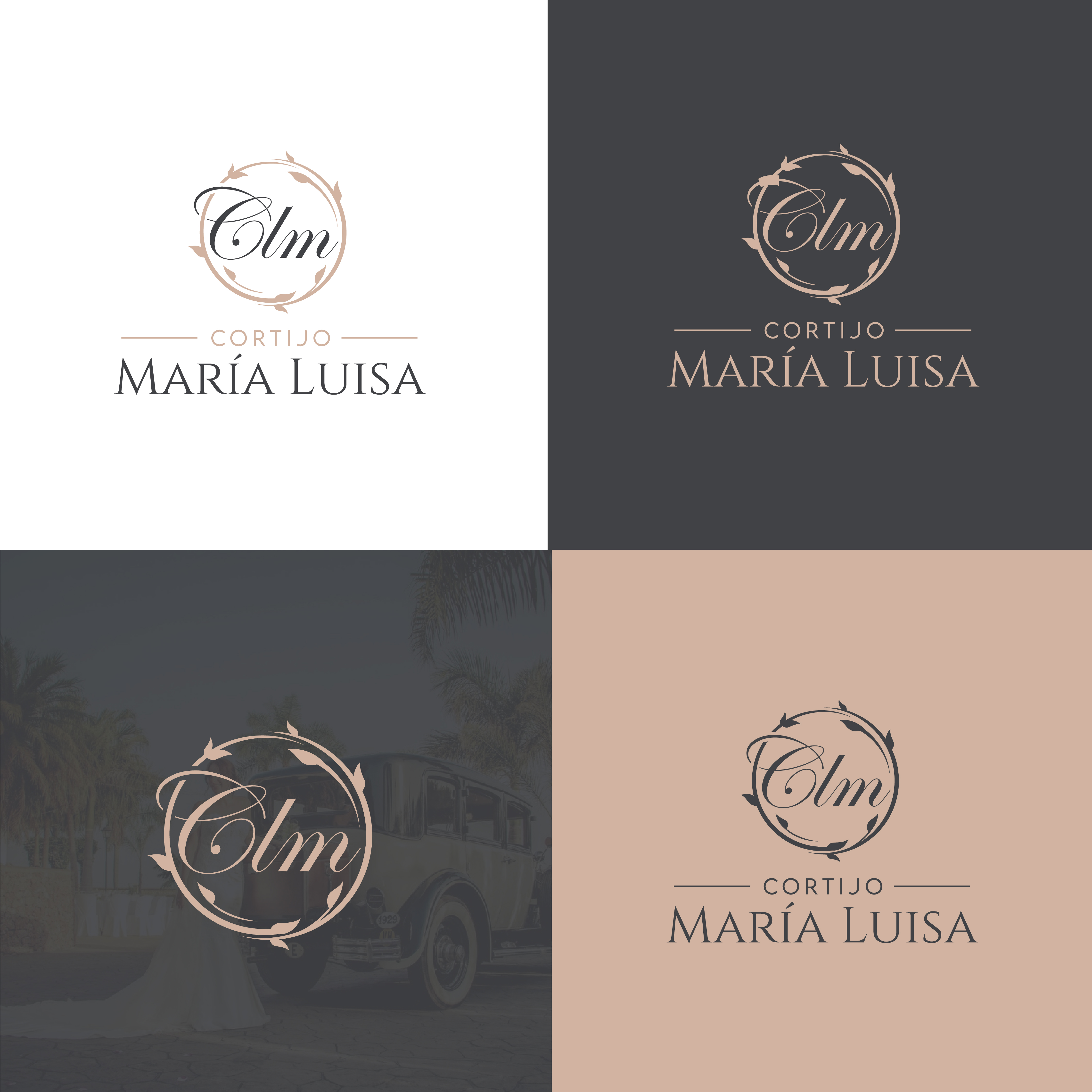 Logo Design by Timefortheweb for Nentech S.C. Karol Szambelanczyk Lukasz Weber | Design #37272237