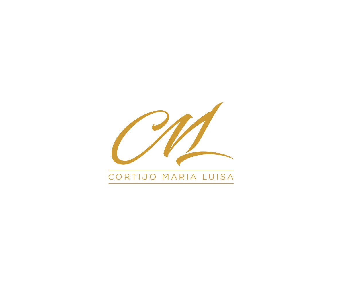 Logo Design by Tani for Nentech S.C. Karol Szambelanczyk Lukasz Weber | Design #37271333