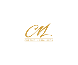 Logo Design by Tani for Nentech S.C. Karol Szambelanczyk Lukasz Weber | Design: #37271333