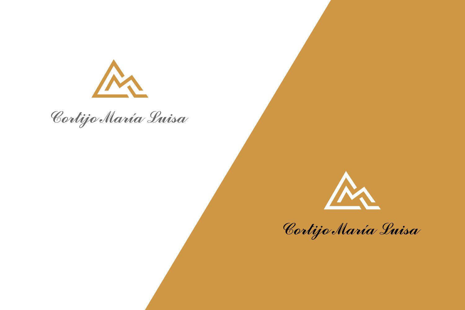 Logo-Design von Tharangafirst für Nentech S.C. Karol Szambelanczyk Lukasz Weber | Design #37269468
