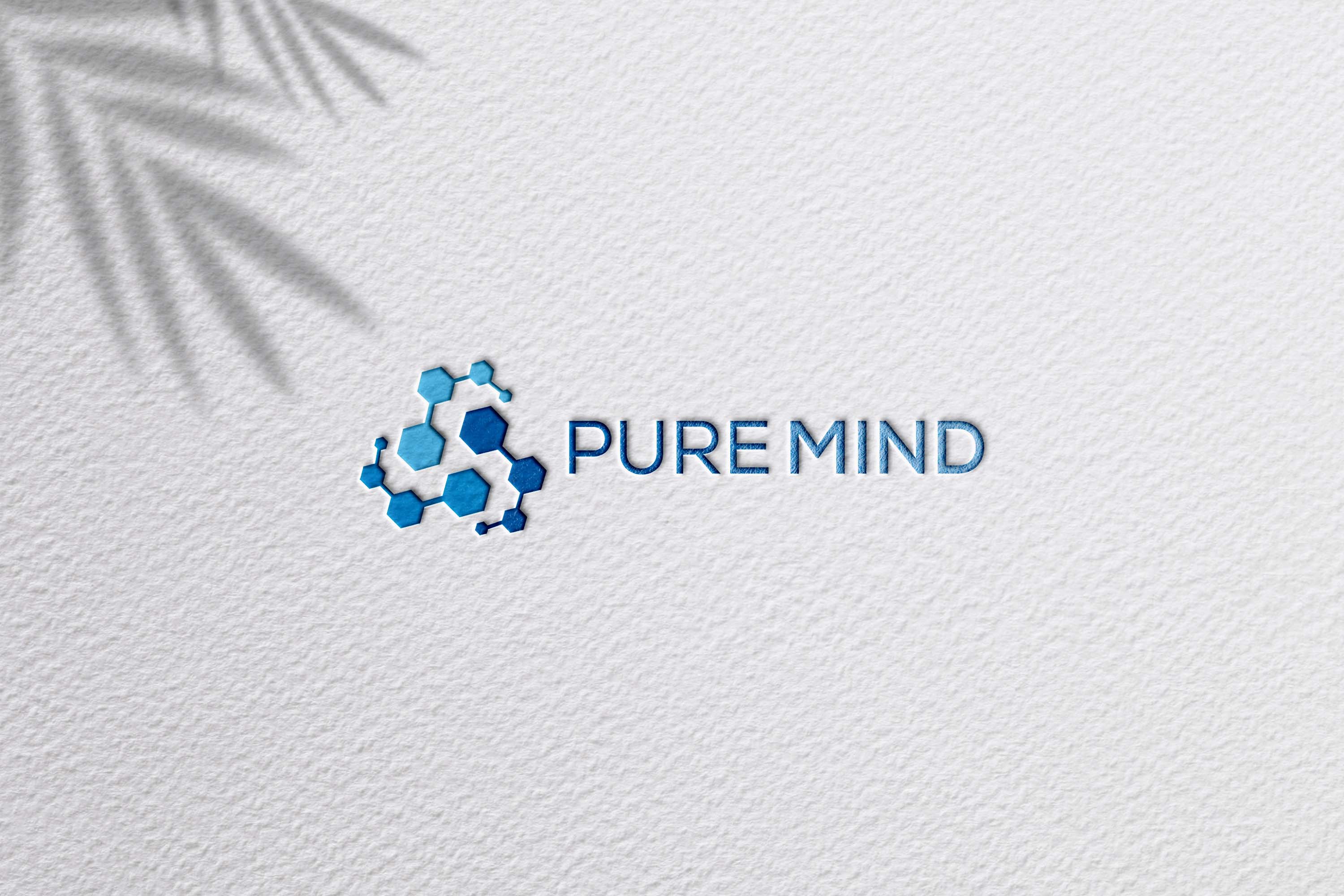 Logo Design by RobloxPro for this project | Design #37274340
