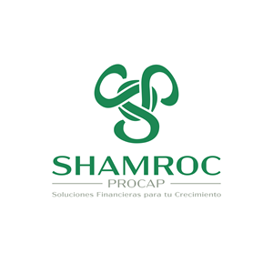 Logo Design by Brandon DZ for this project | Design: #37314236