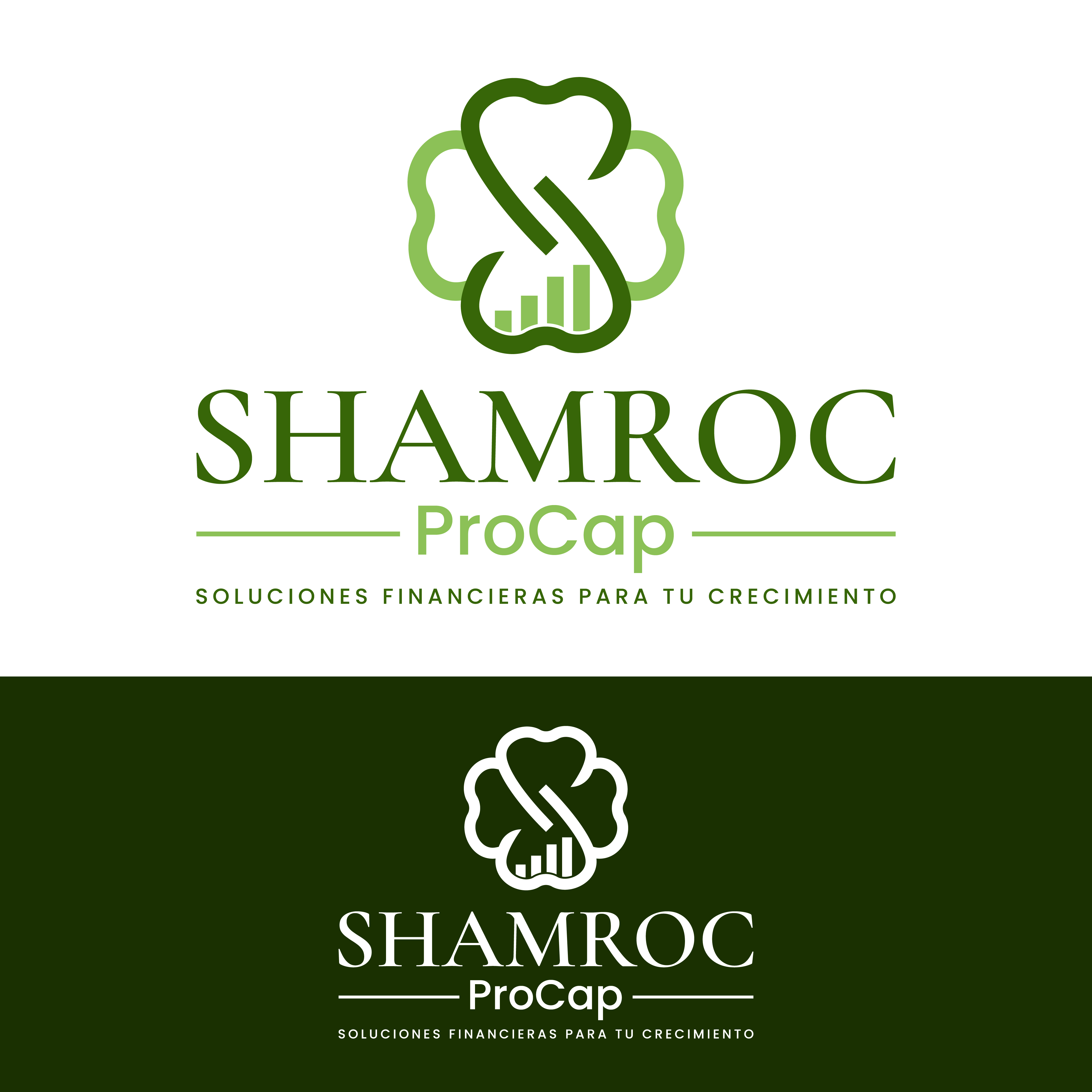 Logo Design by Harold C for this project | Design #37311401