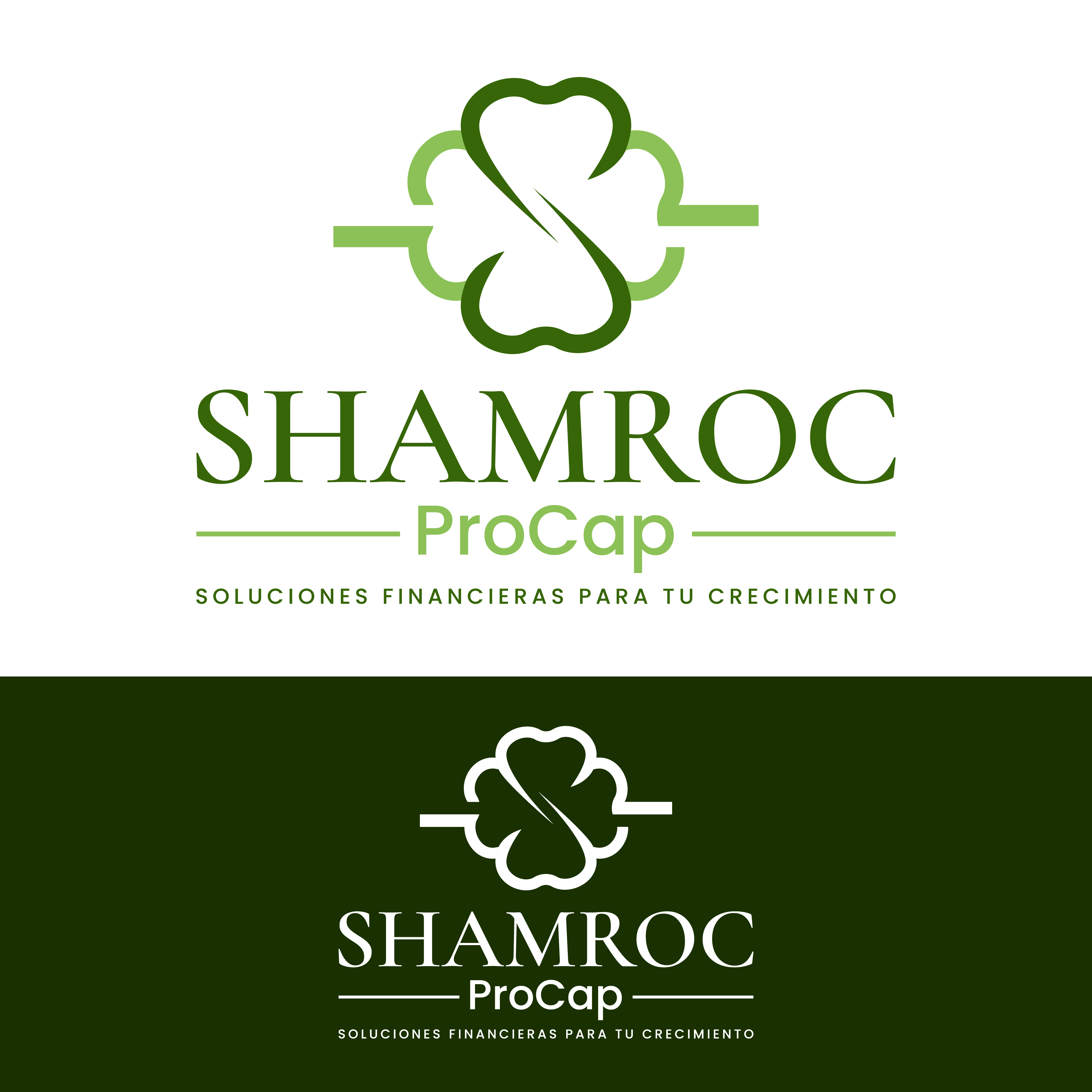 Logo Design by Harold C for this project | Design #37311417