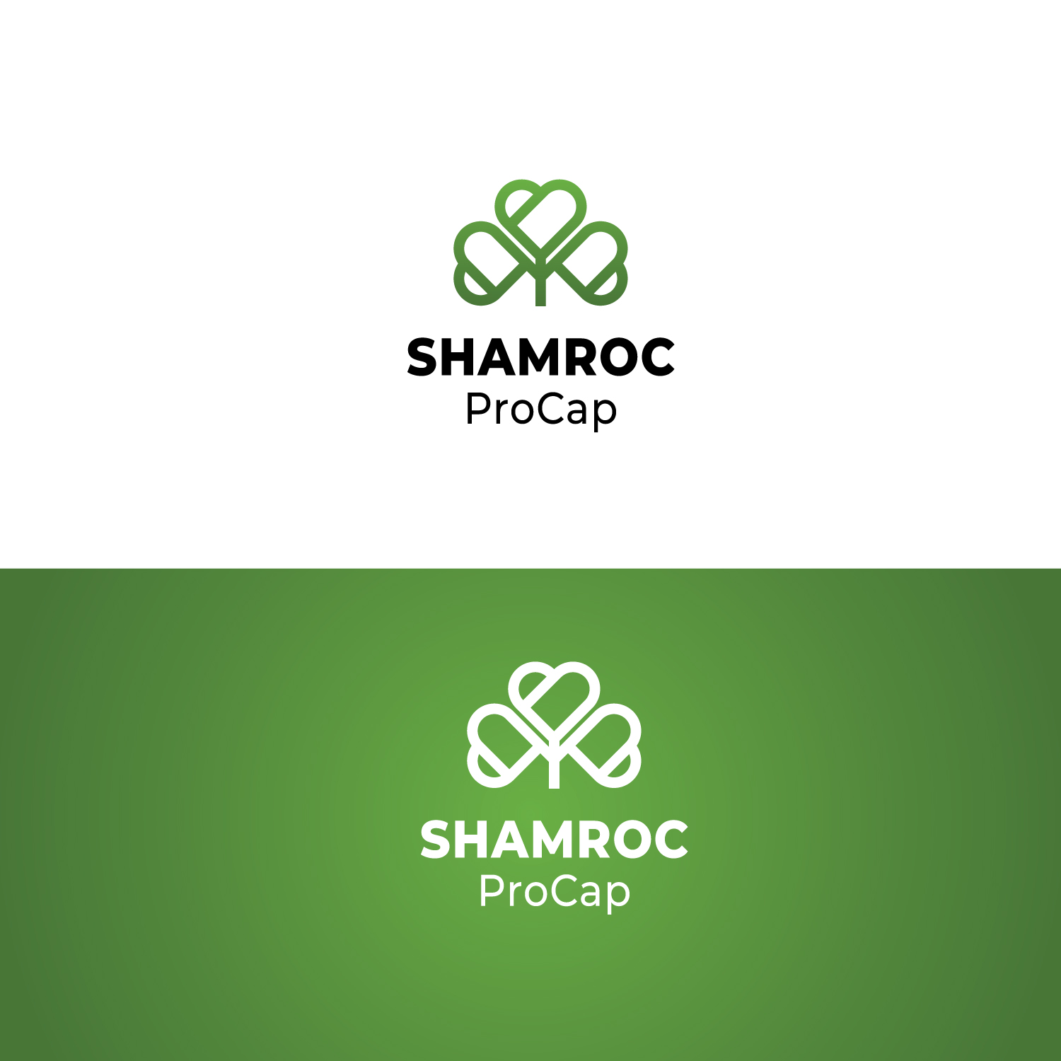 Logo Design by coloratura for this project | Design #37308542