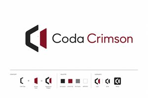 Logo Design by aneskayirt
