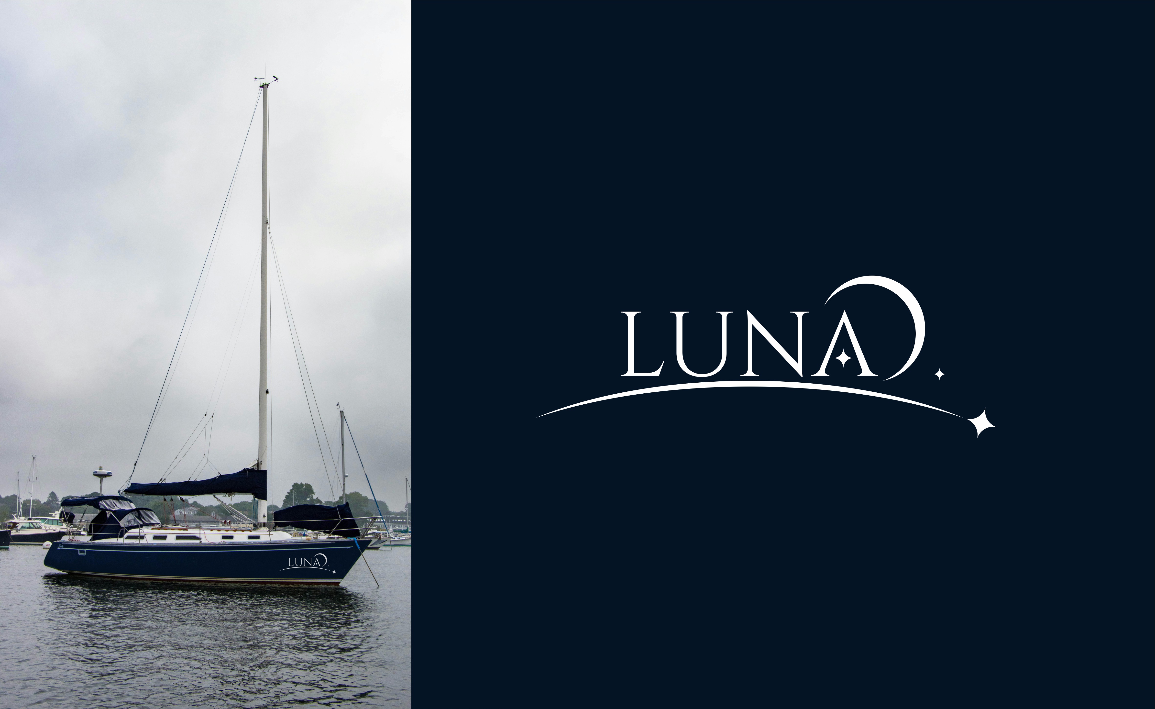 Diseño de Logo por Djamdesign para Luna Cat | Diseño #37306895