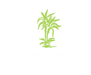 Logo Design by Artem Saider for this project | Design: #7175369