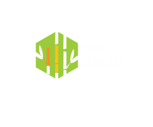 Logo Design by Artem Saider for this project | Design: #7175370