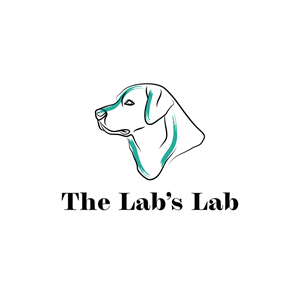 Logo Design by JohnnyCactus