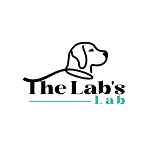 Logo Design by razertron