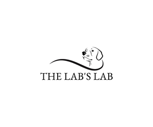 Logo Design by DesignPool01