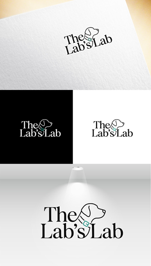 Logo Design by StudioNYC