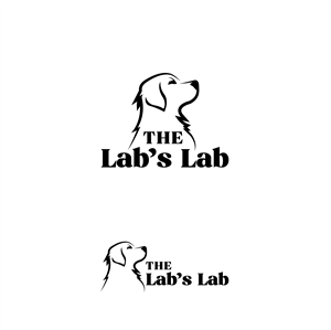 Logo Design by ares_h1