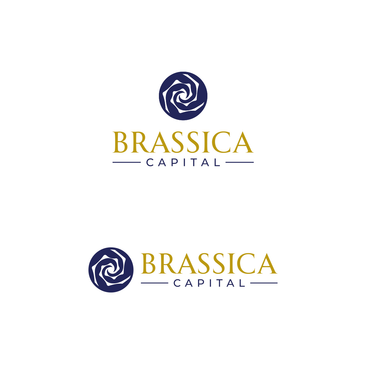 Logo Design by Alex437 for this project | Design #37324367