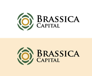 Logo Design by sk create