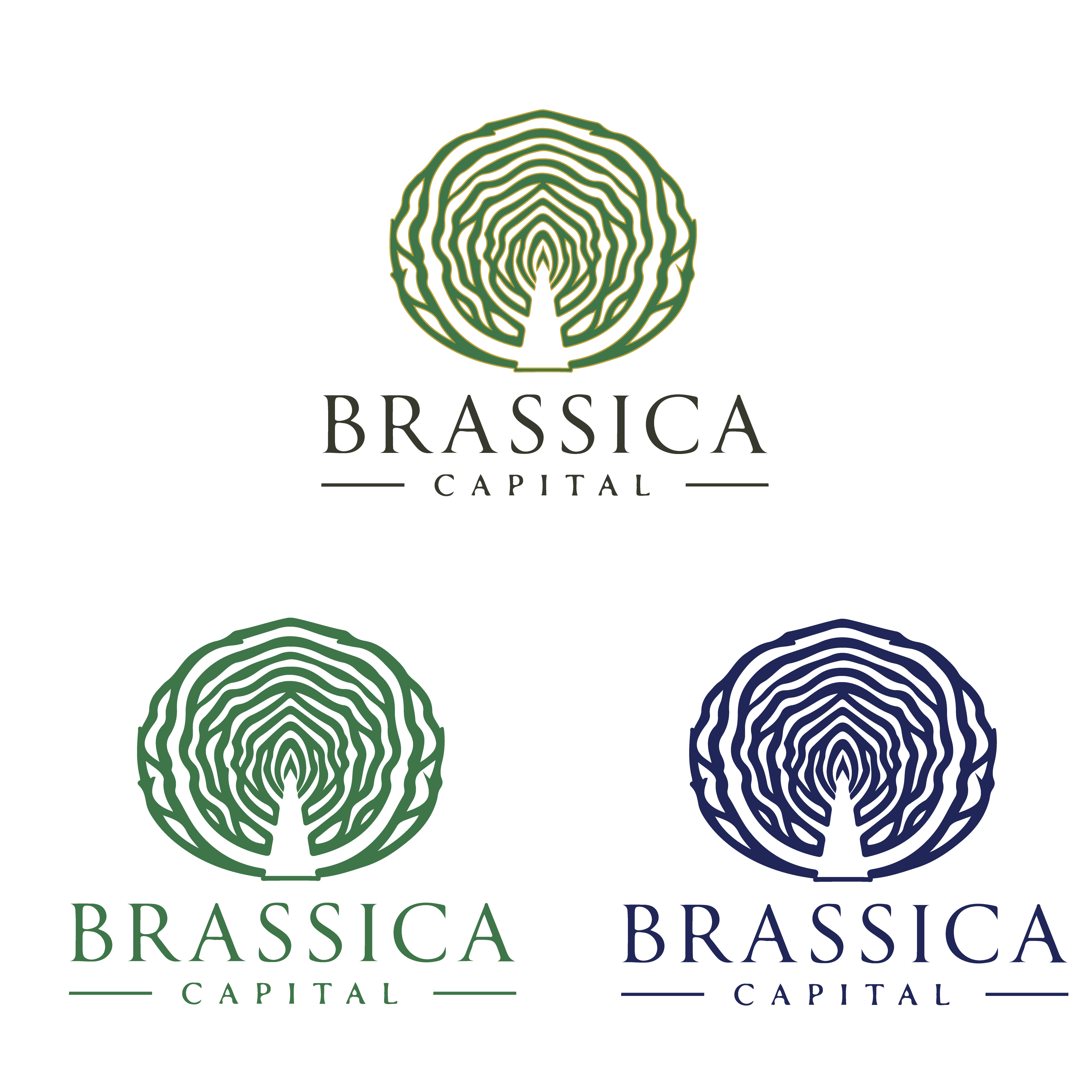 Logo Design by Casey Kelechi for this project | Design #37315078